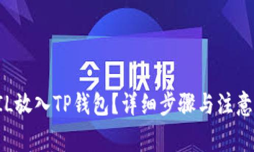 如何将FIL放入TP钱包？详细步骤与注意事项解析
