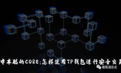 中本聪的CORE：怎样使用TP钱包进行安全交易