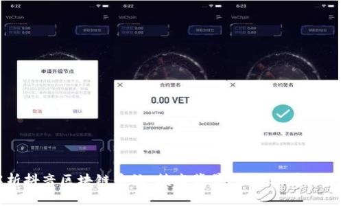 深入解析抖音区块链系统：技术背景、应用场景与未来趋势