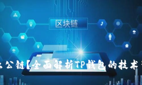 TP钱包基于什么公链？全面解析TP钱包的技术背景与应用场景