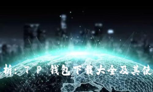 全面解析: T P 钱包下载大全及其使用指南