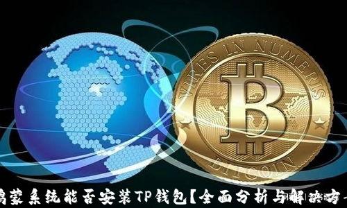 
鸿蒙系统能否安装TP钱包？全面分析与解决方案