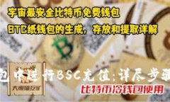 如何在TP钱包中进行BSC充值：详尽步骤与实用技巧
