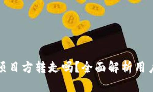 TP钱包的币能被项目方转走吗？全面解析用户隐私与资产安全