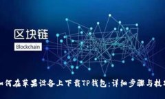 如何在苹果设备上下载TP钱包：详细步骤与技巧