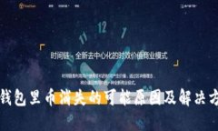 TP钱包里币消失的可能原因及解决方法