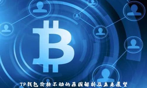 
TP钱包价格不动的原因解析及未来展望