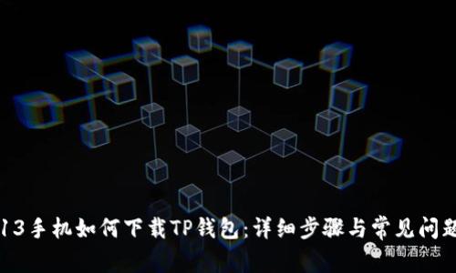 苹果13手机如何下载TP钱包：详细步骤与常见问题解析