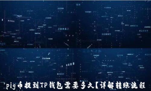 
pig币提到TP钱包需要多久？详解转账流程