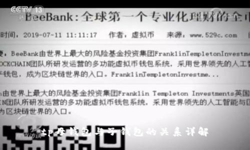tp母钱包与子钱包的关系详解