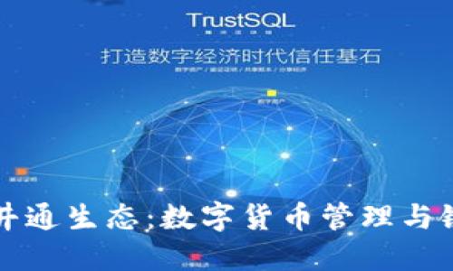 探讨TP钱包与井通生态：数字货币管理与链上应用的未来