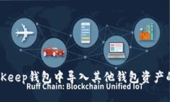 如何在BitKeep钱包中导入其他钱包资产的详细指南