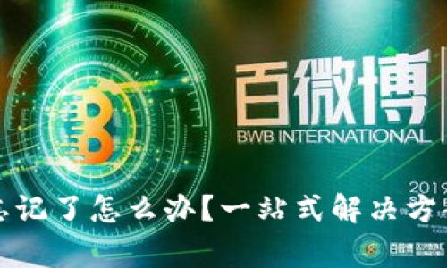 TP钱包支付密码忘记了怎么办？一站式解决方案及常见问题解答