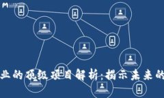 区块链行业的顶级项目解析：揭示未来的行业先