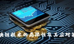 区块链技术的局限性及其应对策略